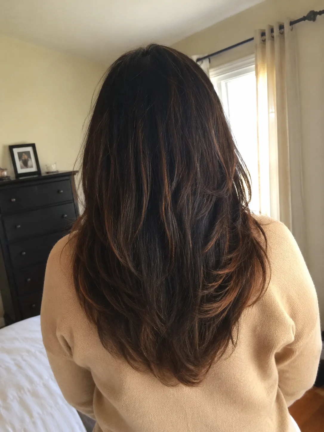 Back view of a woman with long dark hair styled in a sharp, dramatic V-shaped haircut with a warm copper ombre transition at the ends