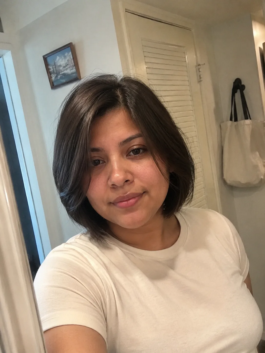 Soft layered short bob for round face haircuts short with face framing pieces